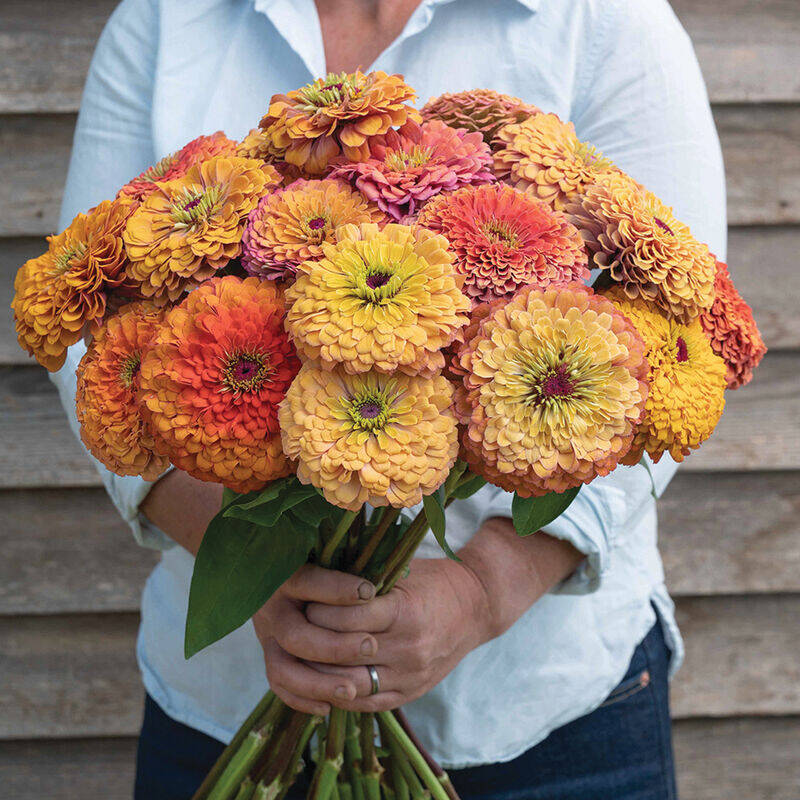 2025 Farm Flowers | Daph's Flower Farm